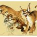 In�dits realis�s entre 2008 et 2012 par Frank P�