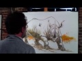 Vid�o mise en couleur d'un rhino
