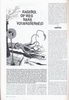 Stripschrift n° 234