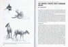 International zoo news n° 326