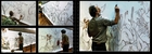 Expos photos Nature Aves