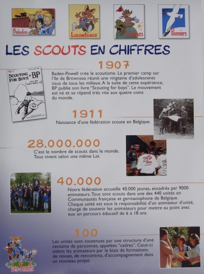 Les scouts en chiffres