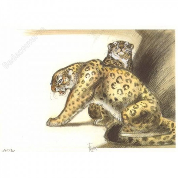 Guépard