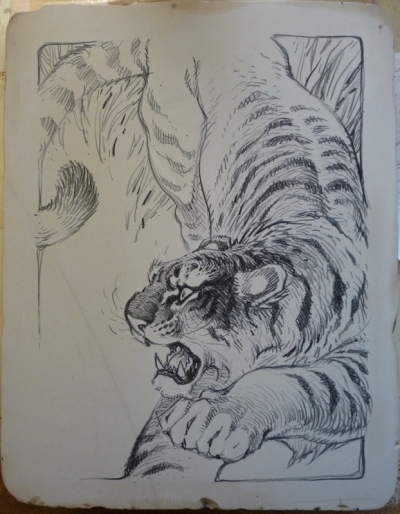 Tigre lithographie sur pierre