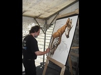2010-05 - Namur - Réalisation de dessins d&#039;animaux grand format vendus sur place