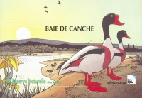 Baie de Canche