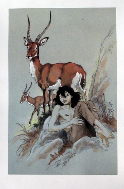 Manon et antilopes
