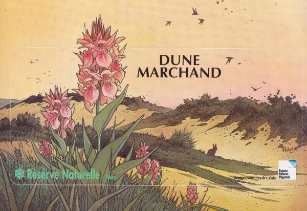 Dune Marchand