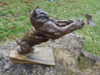 Lynx et l'oiseau