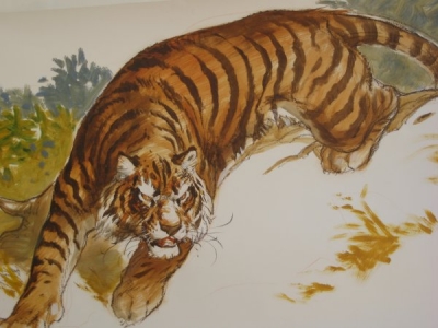 2012 - Solliès-Ville - grand dessin du tigre menaçant