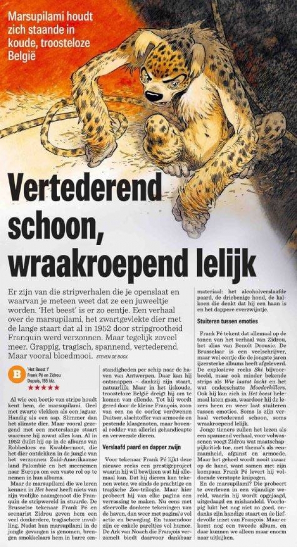 2020-11-12 Het Nieuwsblad